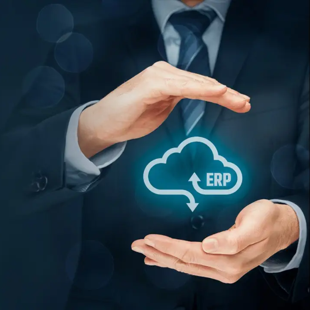 Cloud ERP-Private
